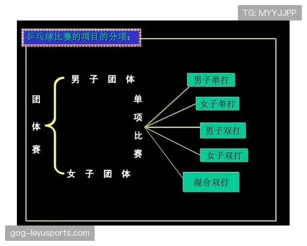 场地尺寸规则详解:哪些标准影响比赛判罚和裁判判断 场地尺寸规则详解:哪些标准影响比赛判罚和裁判判断